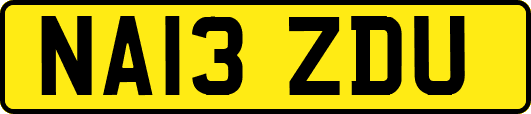 NA13ZDU