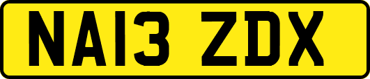 NA13ZDX