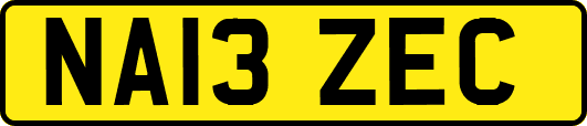 NA13ZEC