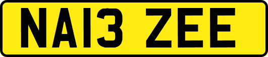 NA13ZEE