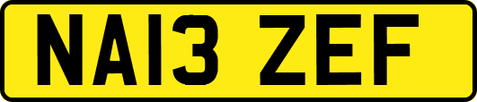 NA13ZEF