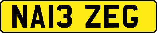 NA13ZEG