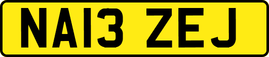 NA13ZEJ