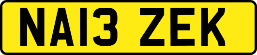 NA13ZEK