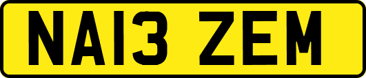 NA13ZEM