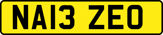 NA13ZEO