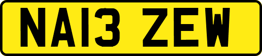 NA13ZEW