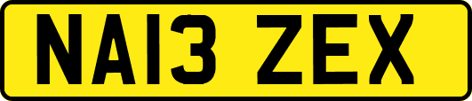NA13ZEX