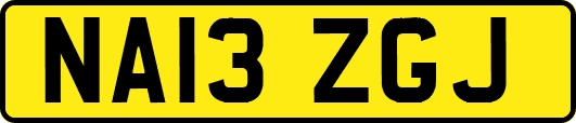 NA13ZGJ