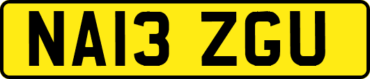 NA13ZGU