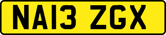 NA13ZGX