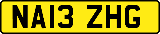 NA13ZHG