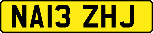 NA13ZHJ