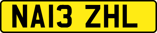 NA13ZHL