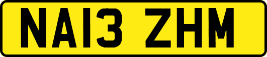 NA13ZHM