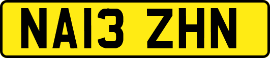 NA13ZHN