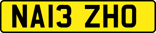 NA13ZHO