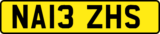 NA13ZHS
