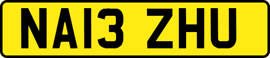 NA13ZHU