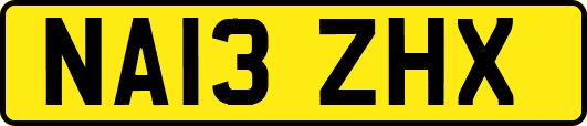 NA13ZHX