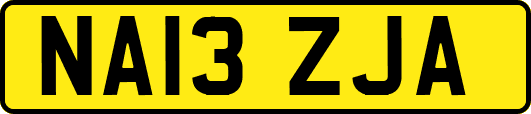 NA13ZJA