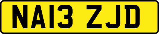NA13ZJD