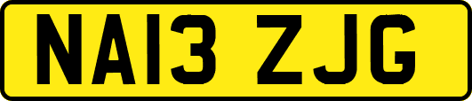 NA13ZJG