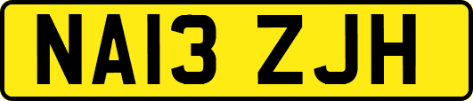 NA13ZJH