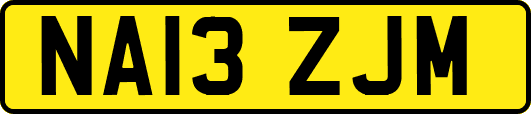 NA13ZJM