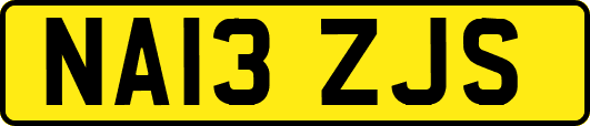 NA13ZJS