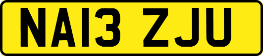 NA13ZJU