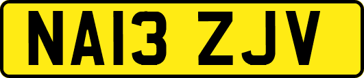 NA13ZJV