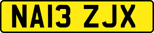NA13ZJX