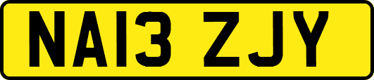 NA13ZJY