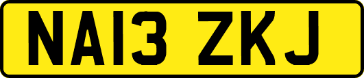 NA13ZKJ