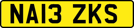 NA13ZKS