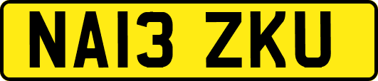 NA13ZKU
