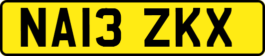 NA13ZKX