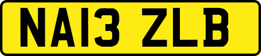 NA13ZLB