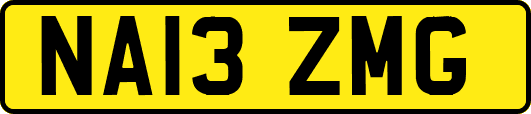NA13ZMG
