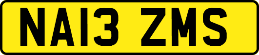 NA13ZMS