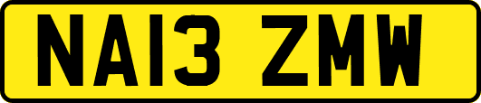 NA13ZMW