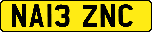 NA13ZNC