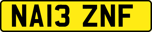NA13ZNF