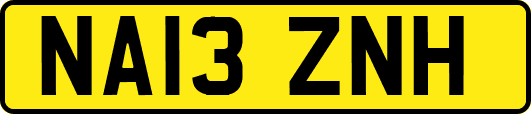 NA13ZNH
