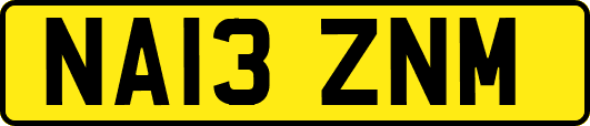 NA13ZNM