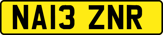 NA13ZNR