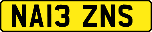 NA13ZNS