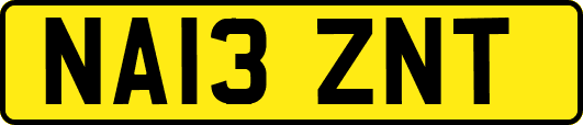 NA13ZNT