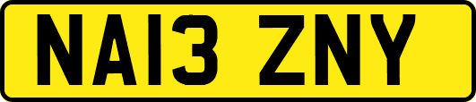 NA13ZNY